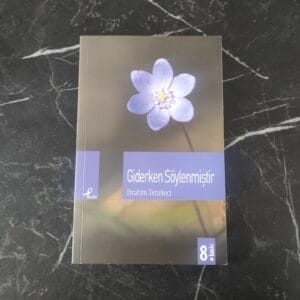 Giderken Söylenmiştir - İbrahim Tenekeci