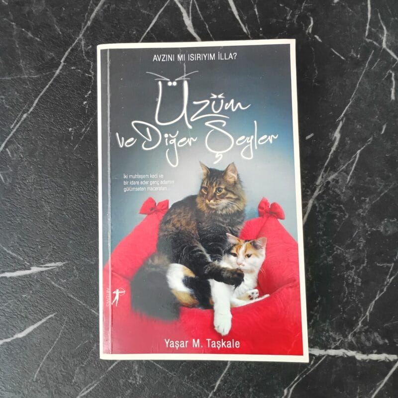 Üzüm ve Diğer Şeyler - Yaşar Taşkale (2)